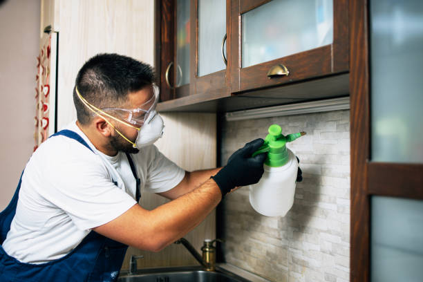Best Best Pest Control Near Me  in Hargill, TX