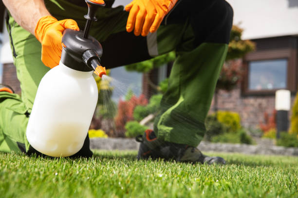 Best Pest Removal Services  in Hargill, TX