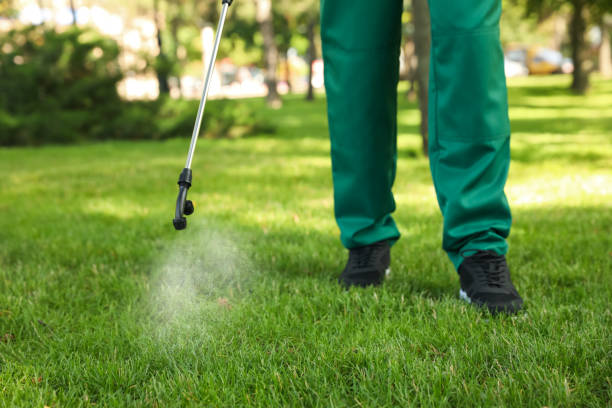 Best Affordable Pest Control Services  in Hargill, TX