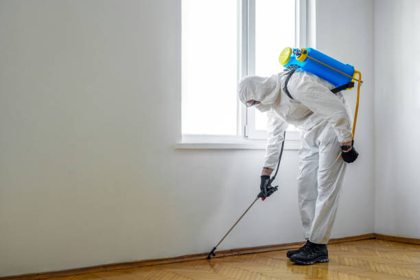 Best Bed Bug Extermination  in Hargill, TX