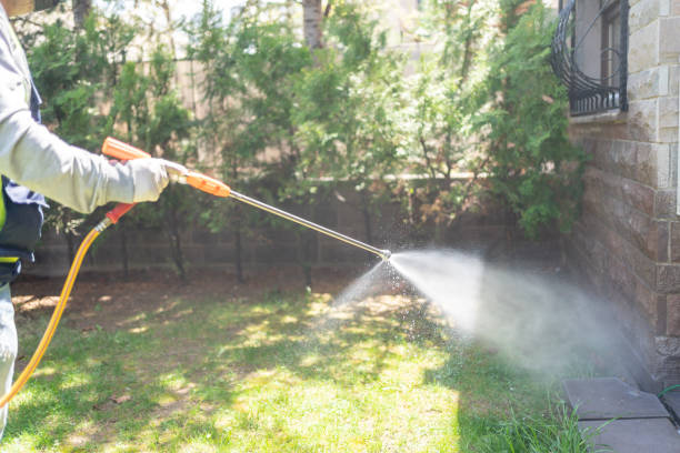 Best Cockroach Control Services  in Hargill, TX