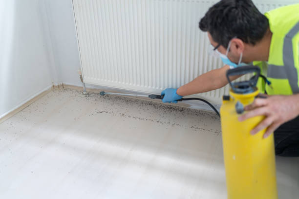 Best Flea Control Services  in Hargill, TX