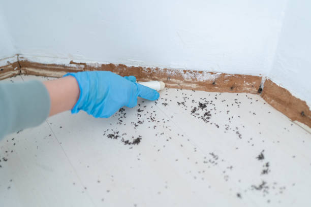 Best Commercial Pest Control Services  in Hargill, TX