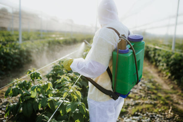  Hargill, TX Pest Control Pros